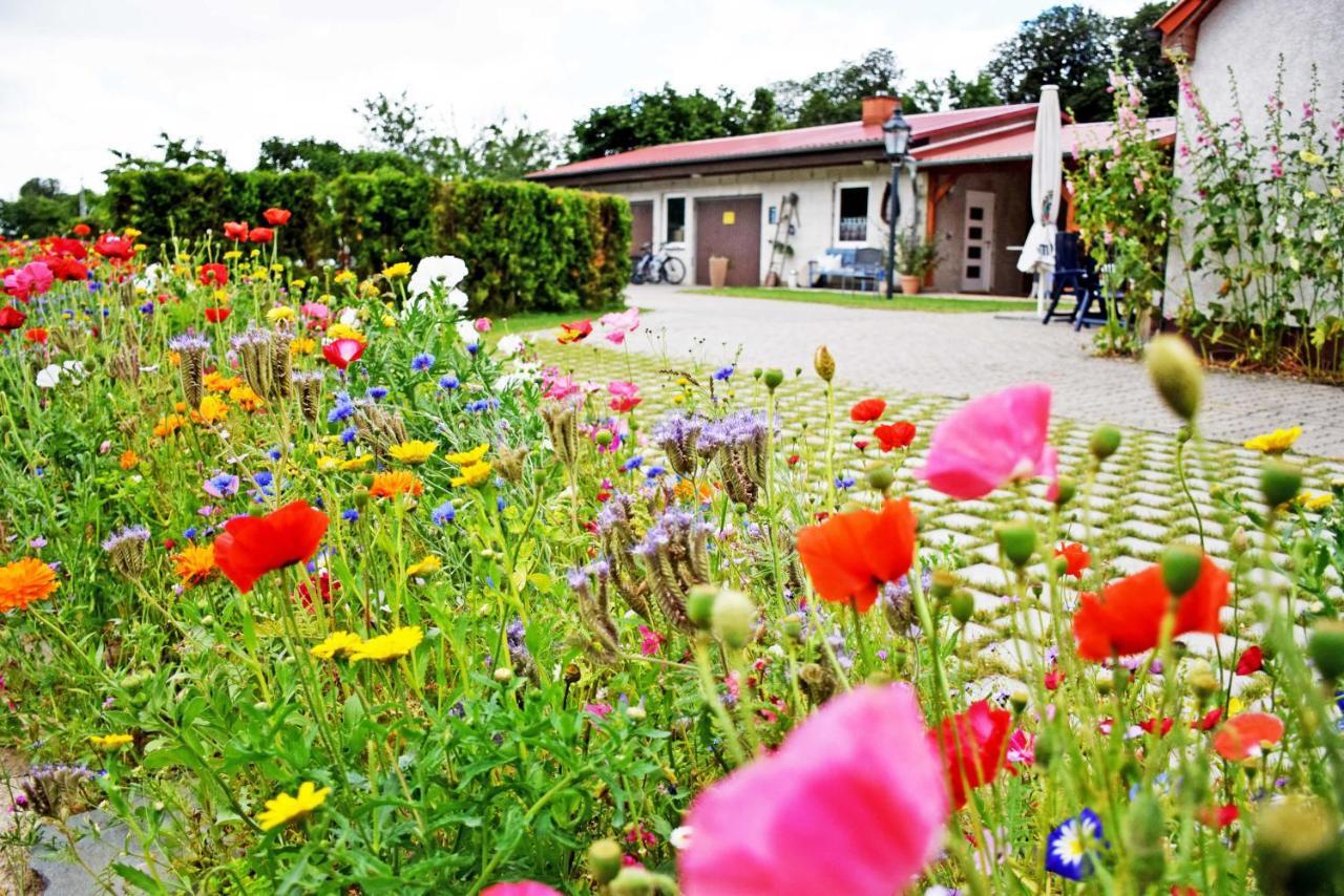 Ferienwohnungen Auf Dem Pommernhof Samtens Exterior photo